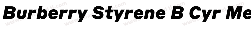 Burberry Styrene B Cyr Medium Plus字体转换